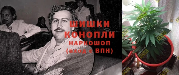 марки lsd Абаза