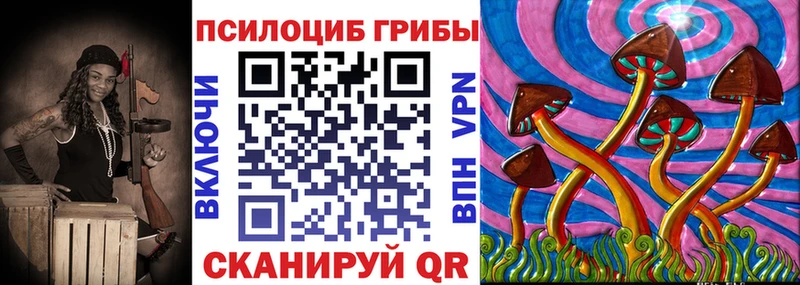это какой сайт  Назрань  Галлюциногенные грибы Cubensis 